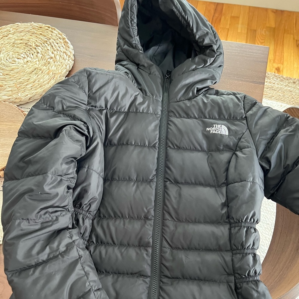 Northface Winter Jacket